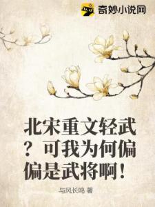 北宋重文轻武？可我为何偏偏是武将啊！